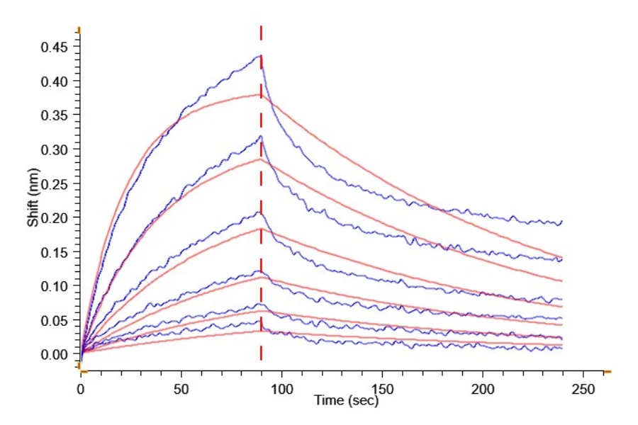 RSPONDIN1-HP001 BLI-2 result