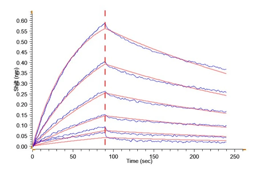 RSPONDIN1-HP001 BLI result