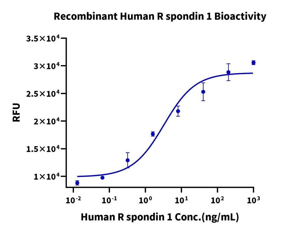 RSPONDIN1-HP001 Cell-Based-Assay result