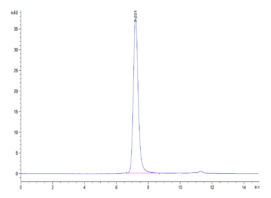 SERUMALBUMIN-HB001 SEC-HPLC result