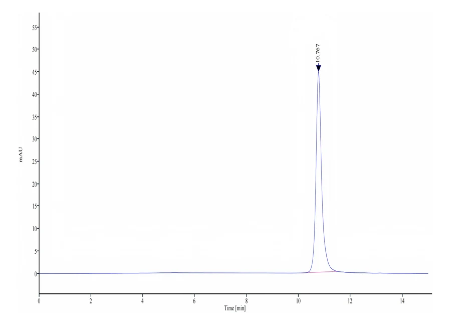 SEZ6-HB002 SEC-HPLC result