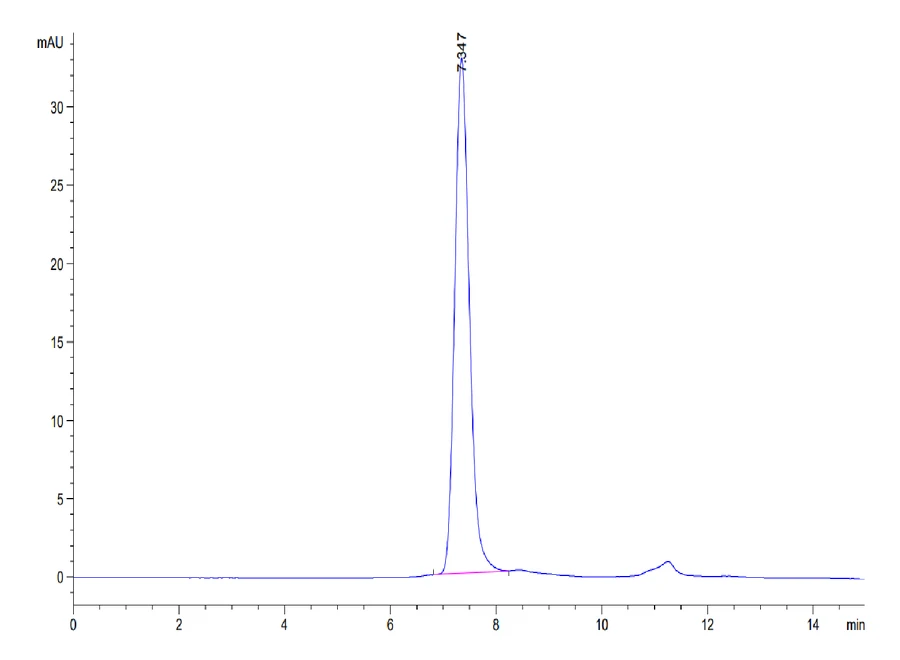 SIGLEC10-HB002 SEC-HPLC result