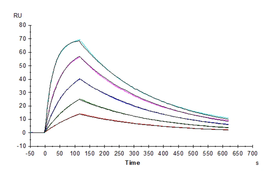 SIRPA-HP002 SPR-2 result