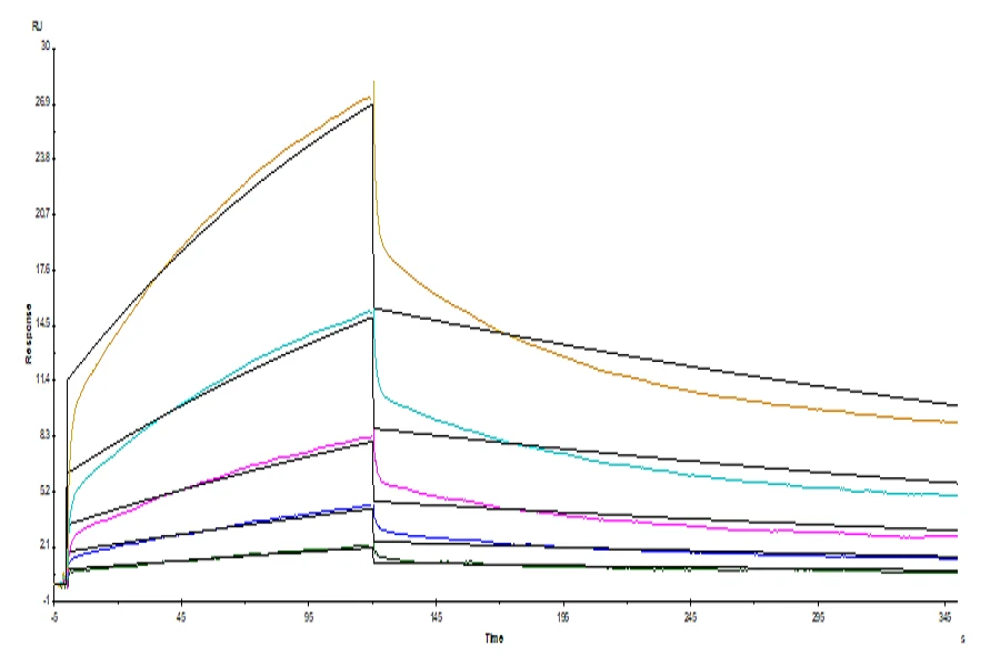 SIRPA-HP002 SPR result