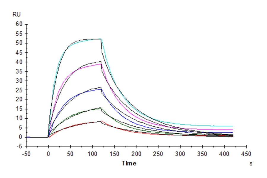 SIRPA-HP003 SPR result