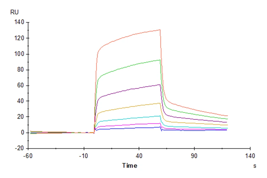 SIRPA-MP002 SPR result