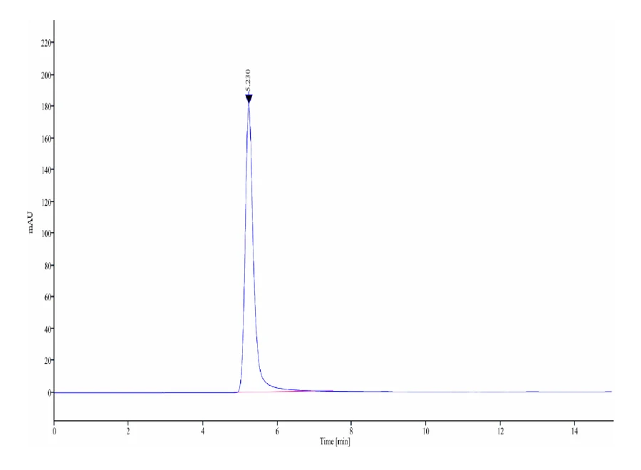 SLC2A4-HB001 SEC-HPLC result