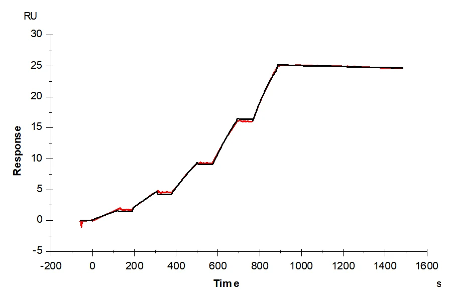 SLC2A4-HB001 SPR result
