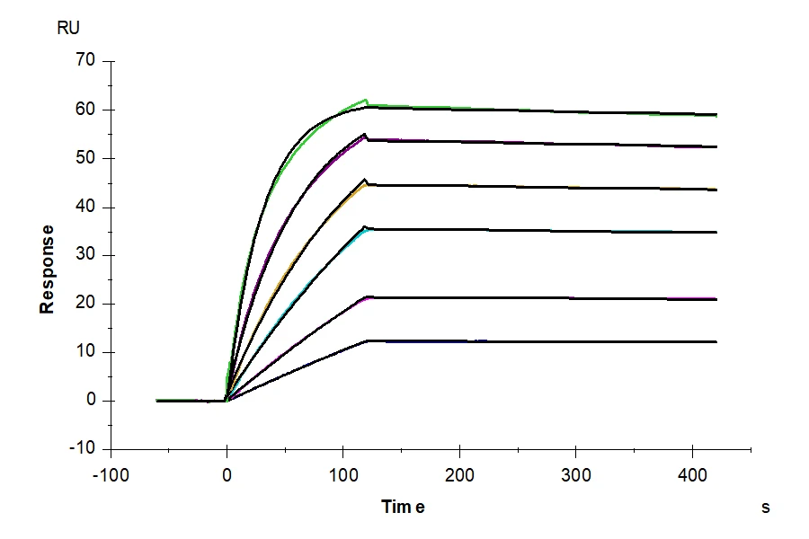 SSTR2-HB001 SPR result