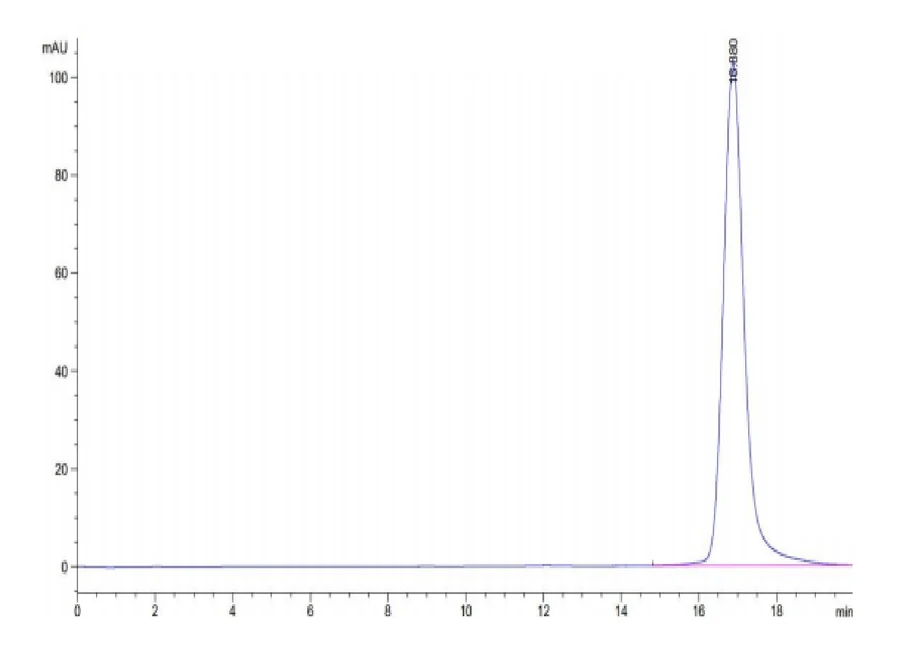 SURVIVIN2B-HP002 SEC-HPLC result