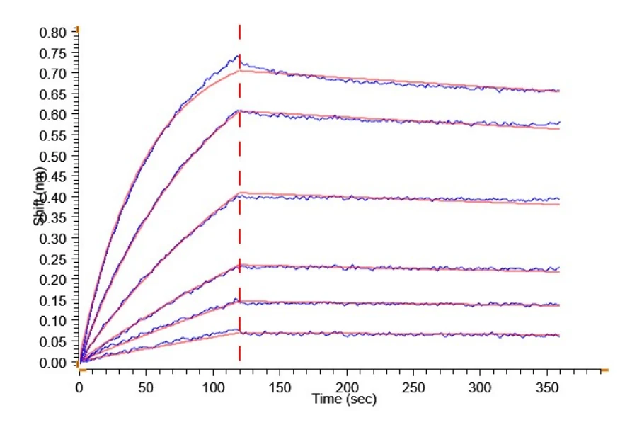 TACI-HF001 BLI-2 result