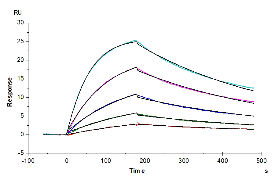 TCCR-HF001 SPR result