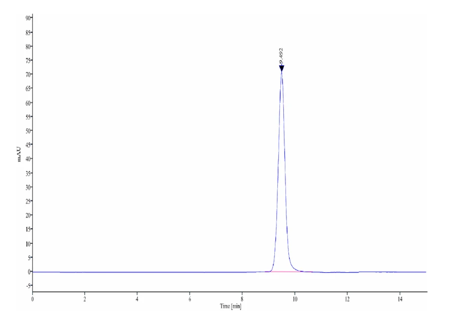TERT-HB001 SEC-HPLC result