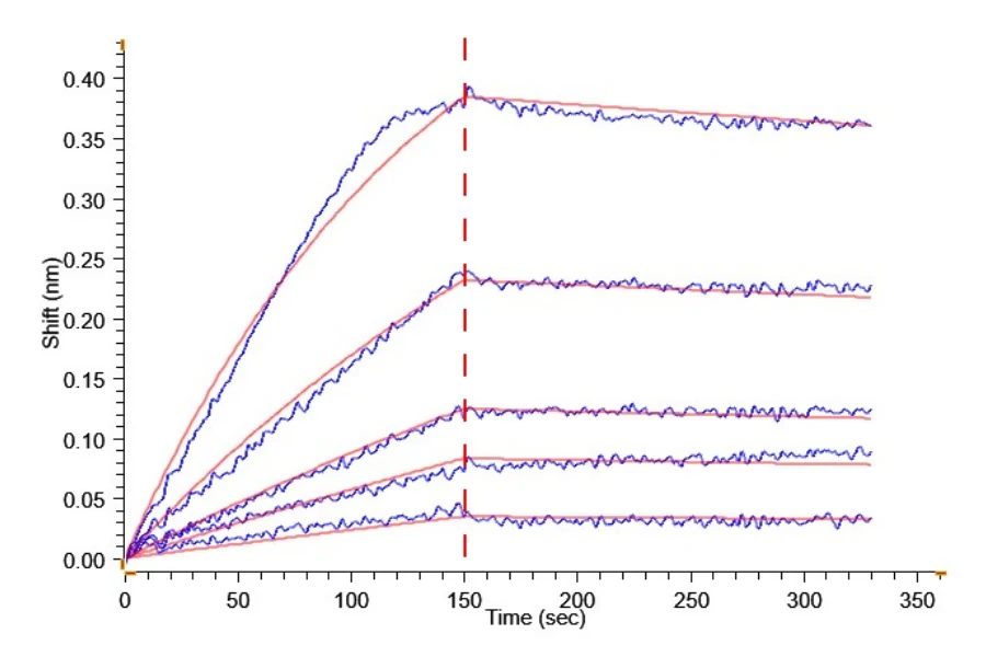 TGF-HF003 BLI result
