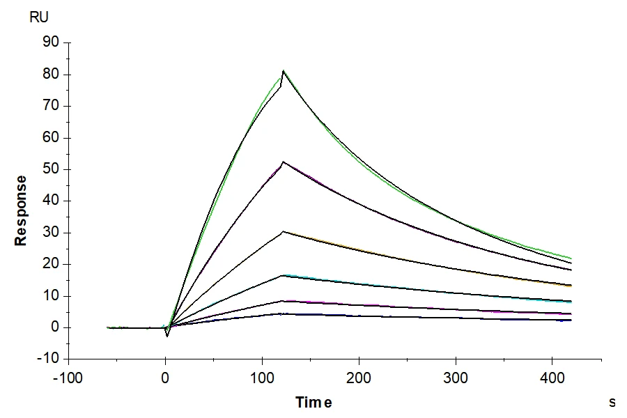 TGF-HF003 SPR result