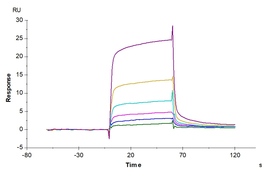 TGFB1-HP001 SPR result