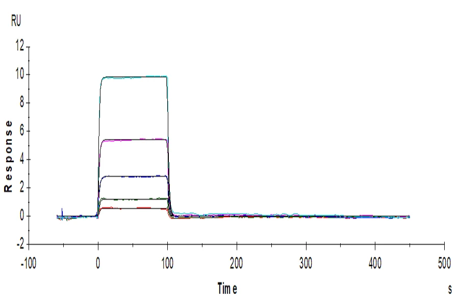 TIGIT-HP001 SPR result