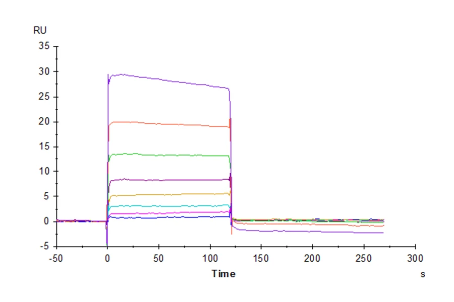 TIGIT-HP004 SPR result