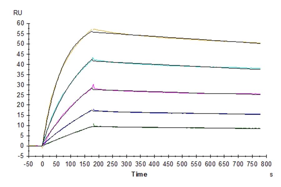 TNFRSF10A-HB001 SPR result