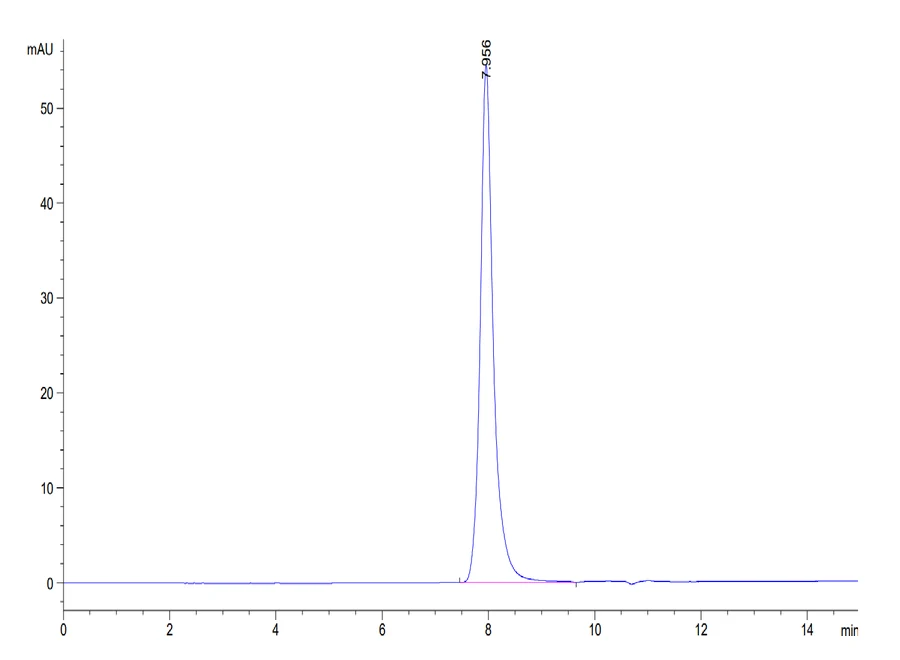 TNFRSF10B-HB001 SEC-HPLC result