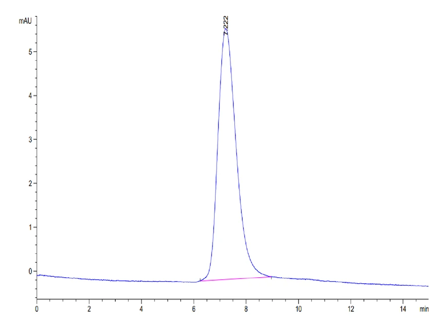 TNFRSF10D-HB001 SEC-HPLC result