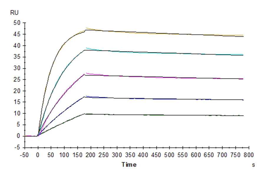 TNFRSF10D-HB001 SPR result