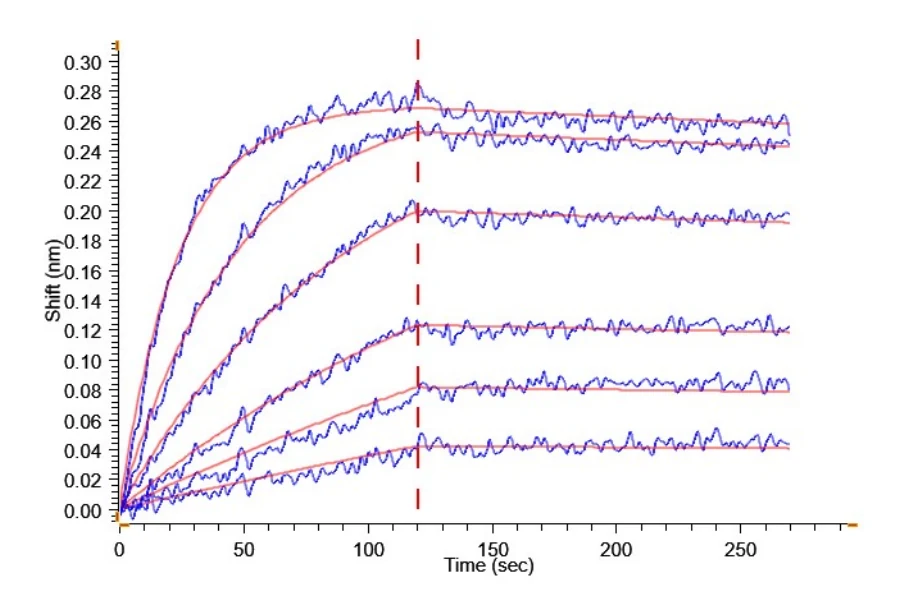 TNFSF15-CP001 BLI result