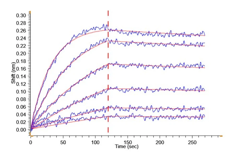 TNFSF15-HP001 BLI result