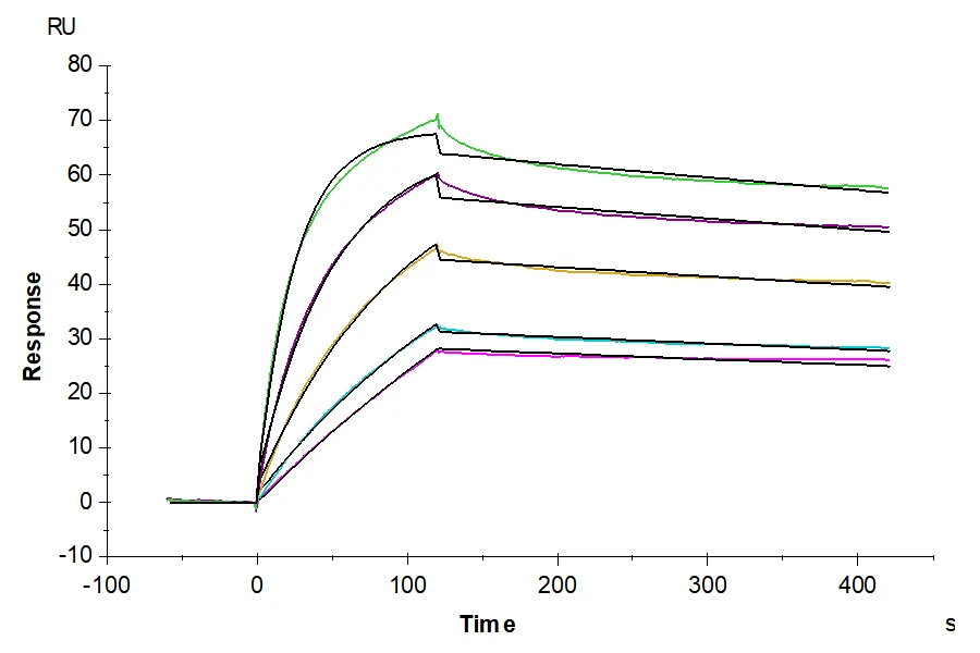 TNFSF15-HP001 SPR result