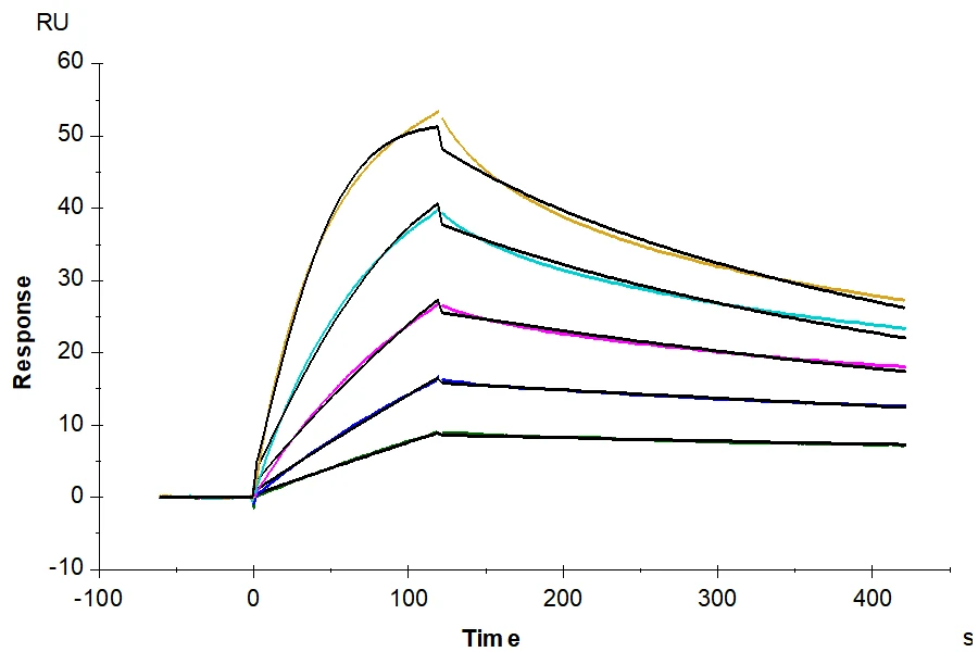 TNFSF15-HP003 SPR-2 result