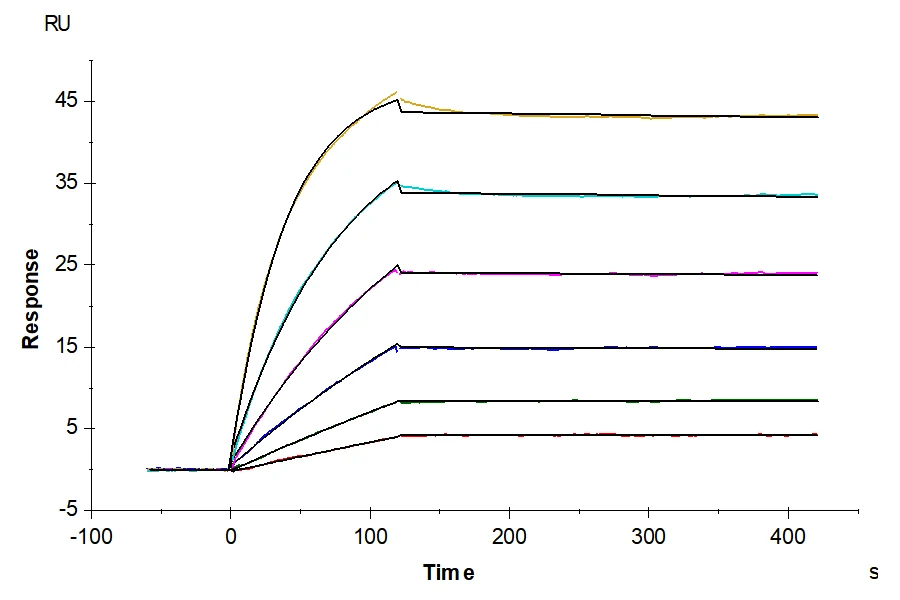 TNFSF15-HP003 SPR result