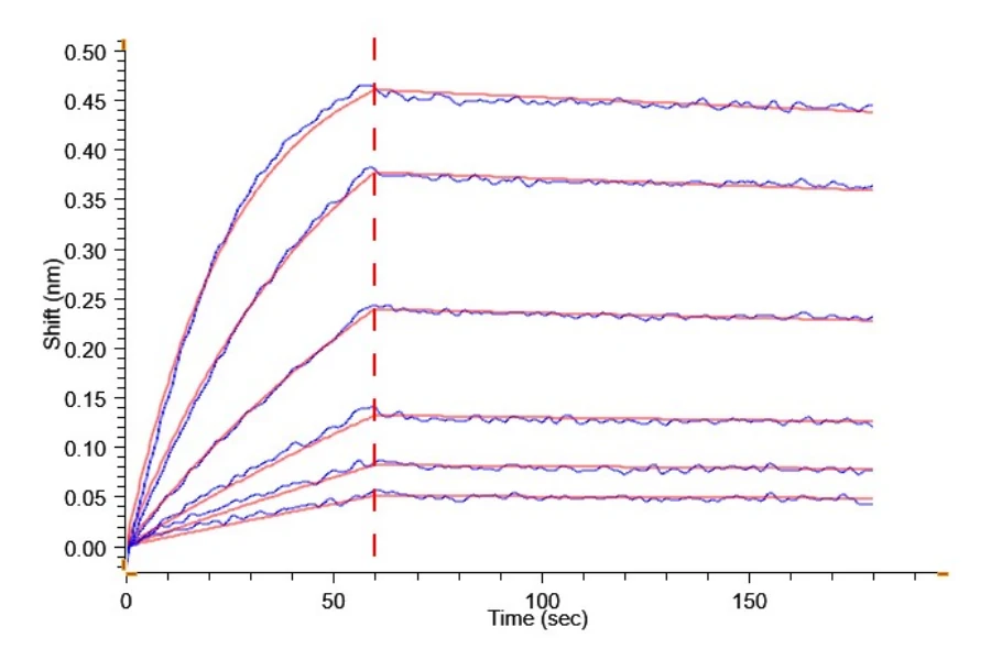 TNFSF15-HP005 BLI-2 result