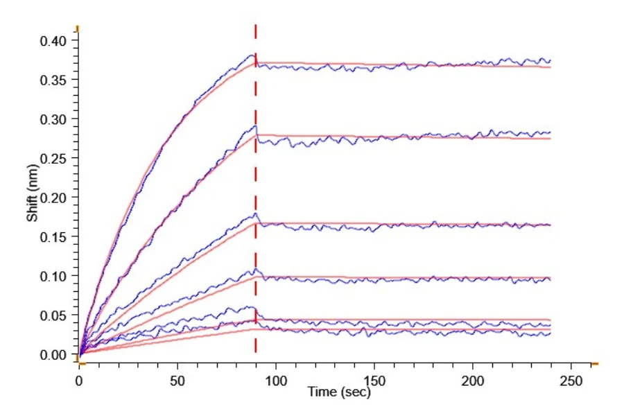 TNFSF15-HP005 BLI result