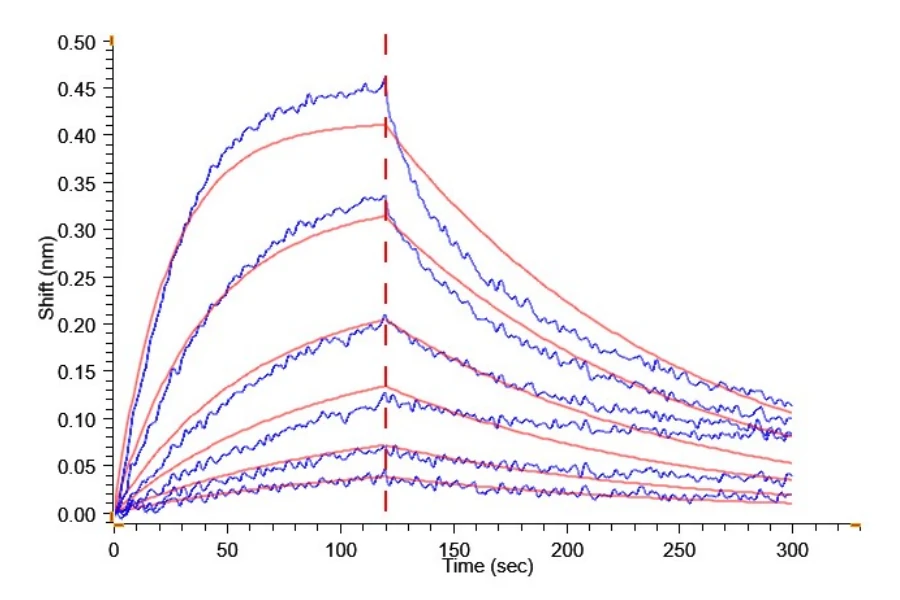 TNFSF15-MP002 BLI result
