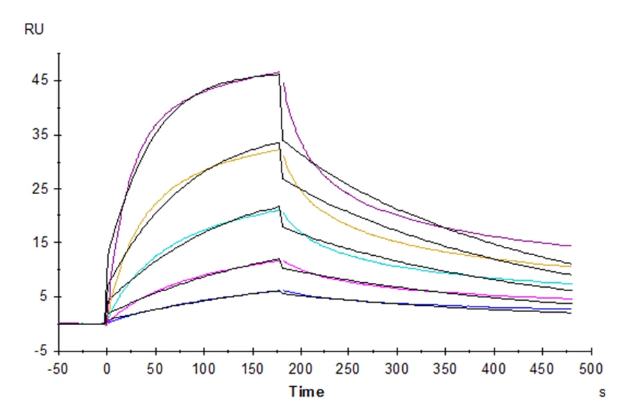 TNFSF6-HP001 SPR result