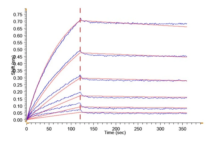 TNFSF9-HB001 BLI result