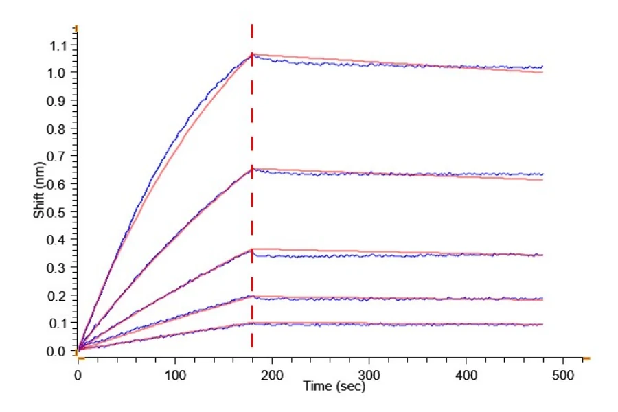 TRANSFERRIN-HB001 BLI result