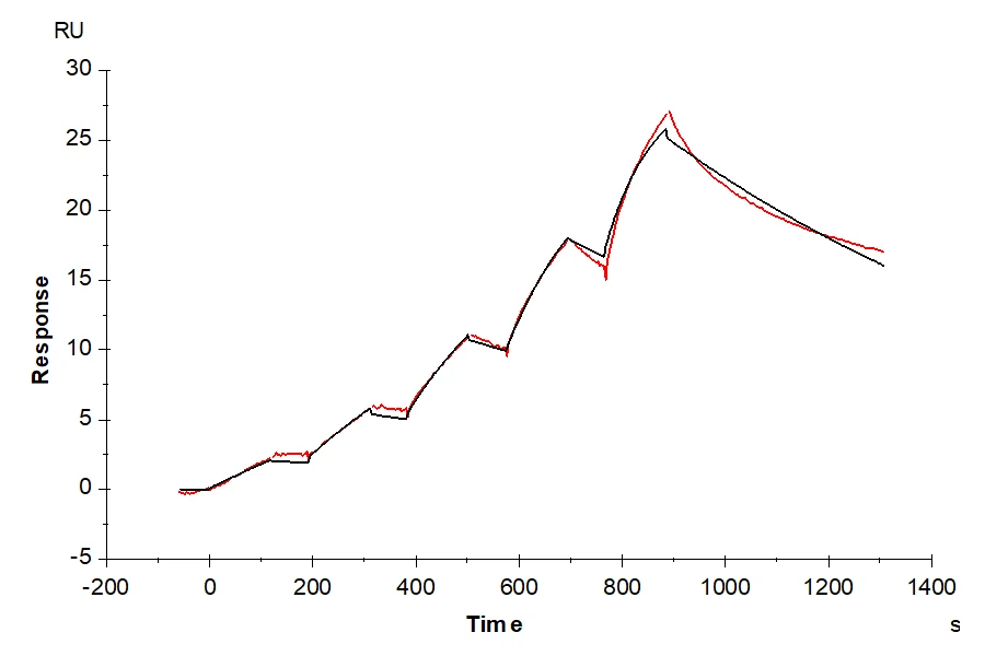 TRANSFERRIN-HP001 SPR result