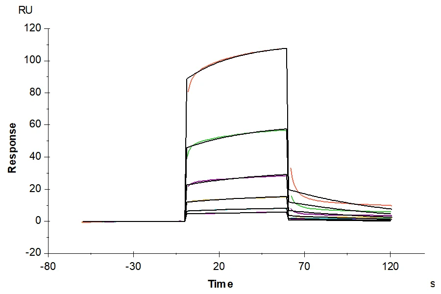 TROP1-HF001 SPR result