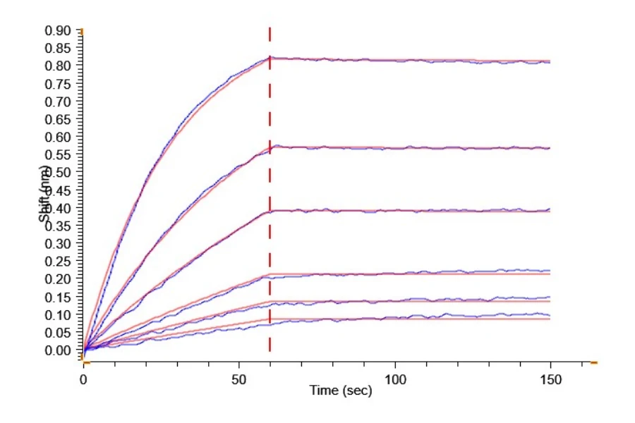 TSLP-HB001 BLI-2 result