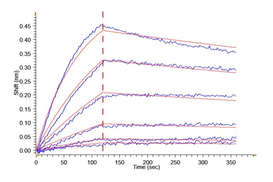 TSLP-HB001 BLI result