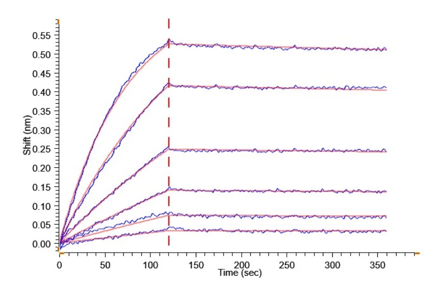 TSLP-HB002 BLI-2 result
