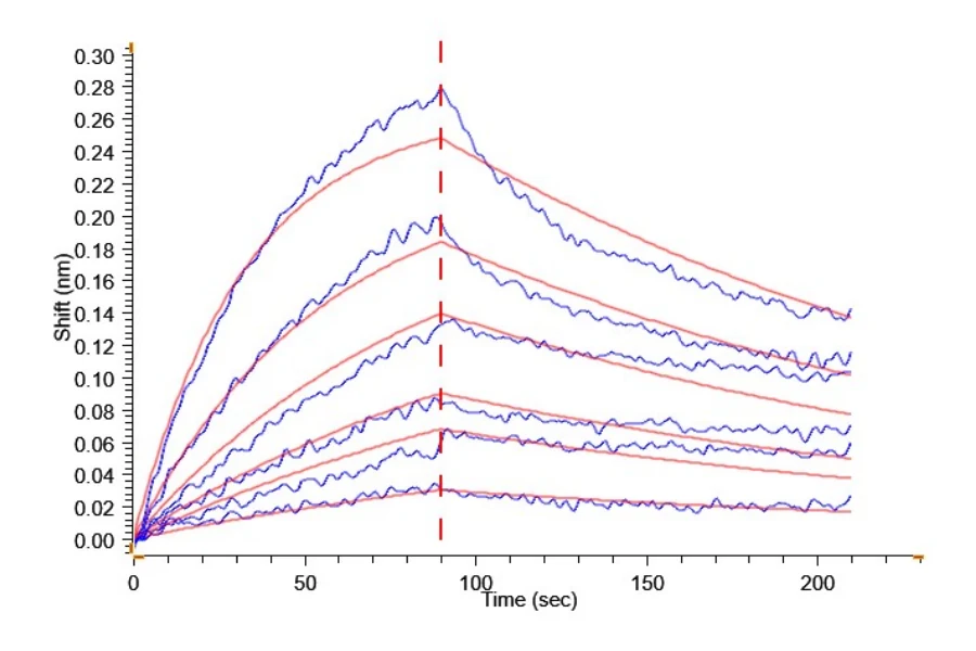 TSLP-HB002 BLI result
