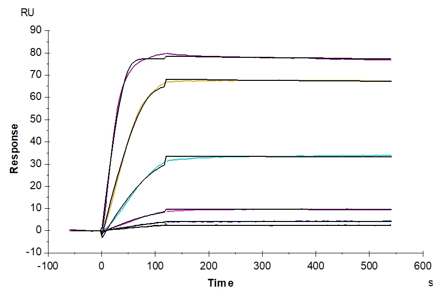 VEGF165-HB003 SPR result