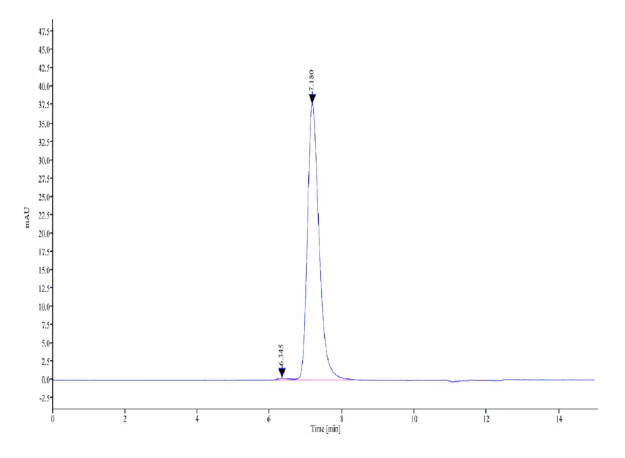 VEGFR2-HB002 SEC-HPLC result