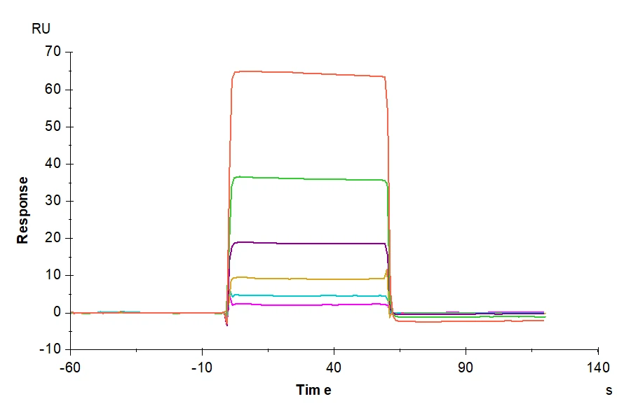 VISTA-HF001 SPR result