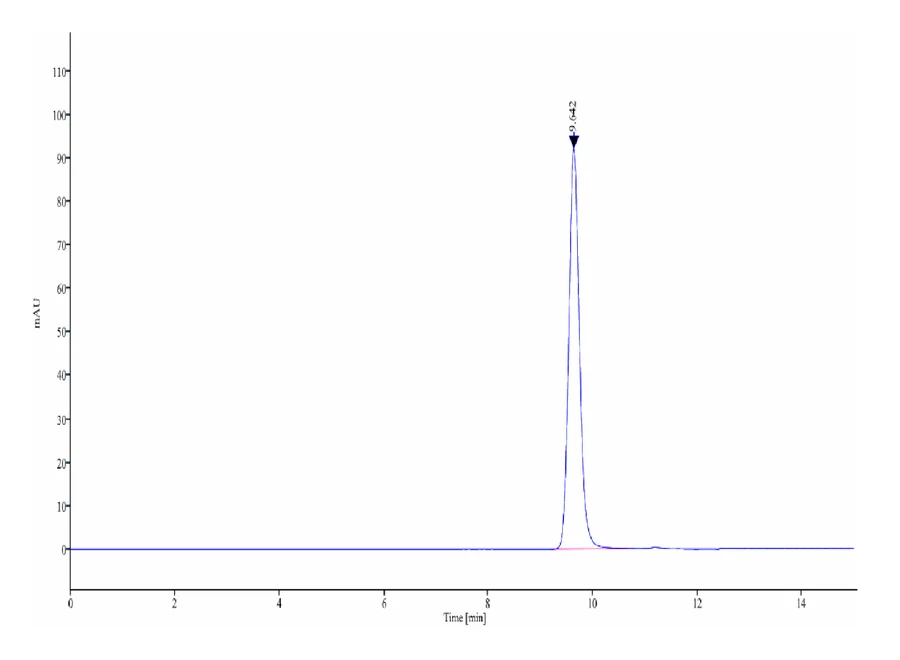 WT1-HB001 SEC-HPLC result