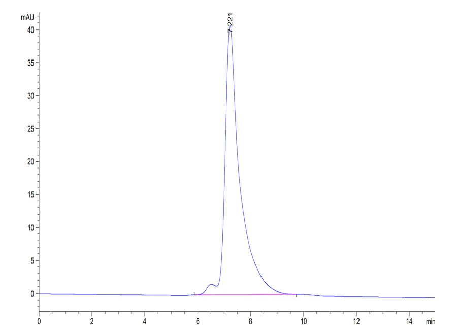 WT1-HB002 SEC-HPLC result