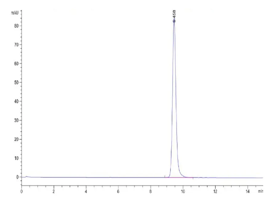 WT1-HP001 SEC-HPLC result