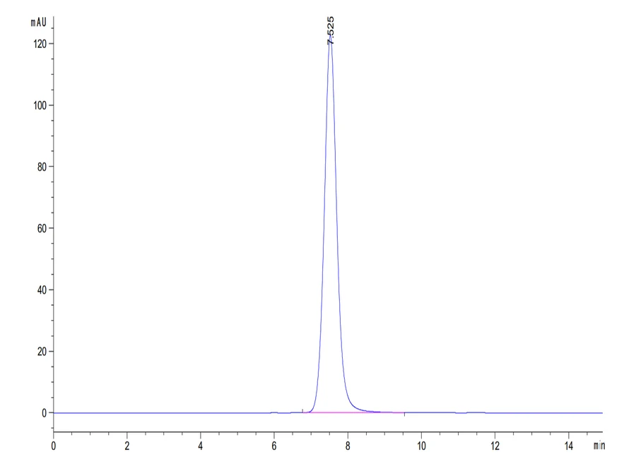 WT1-HP002 SEC-HPLC result